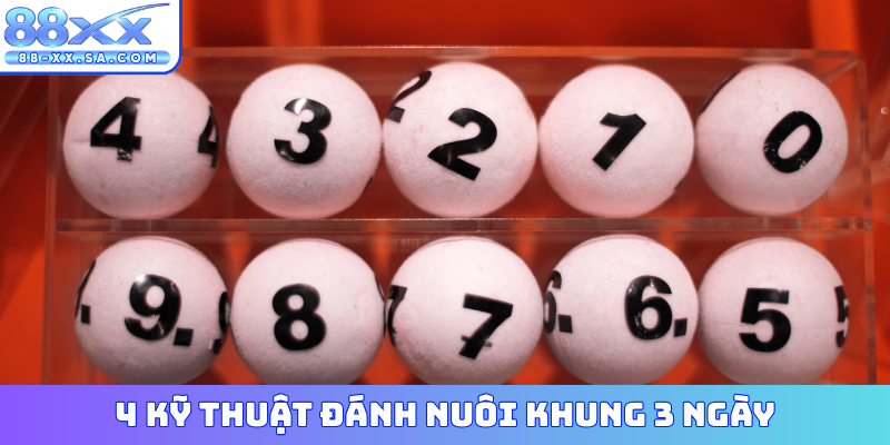 4 kỹ thuật đánh nuôi khung 3 ngày